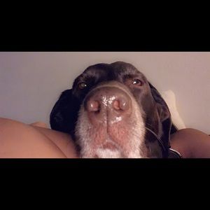 Meet your Posher, Luis